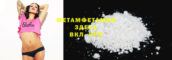 индика Волосово