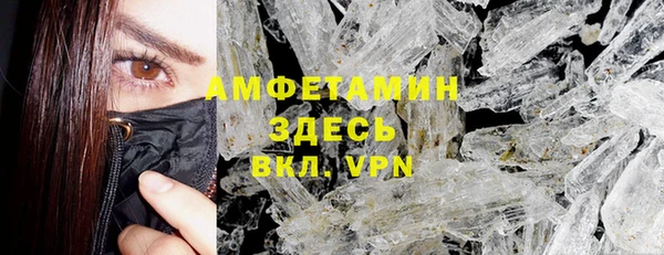 индика Волосово