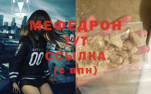 индика Нязепетровск