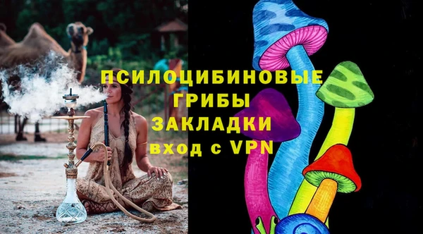 стаф Волоколамск