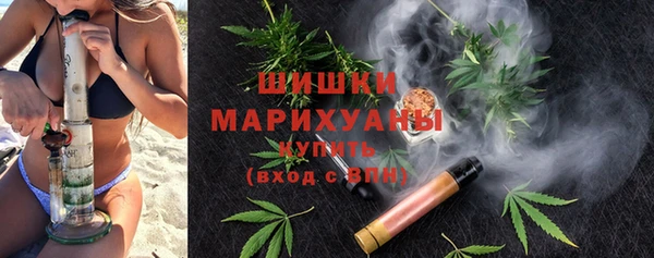 индика Нязепетровск