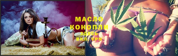 индика Нязепетровск