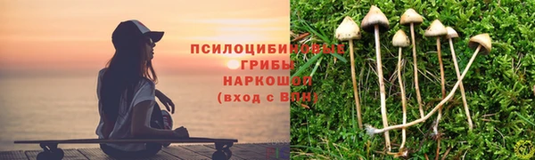соль курить ск Новозыбков